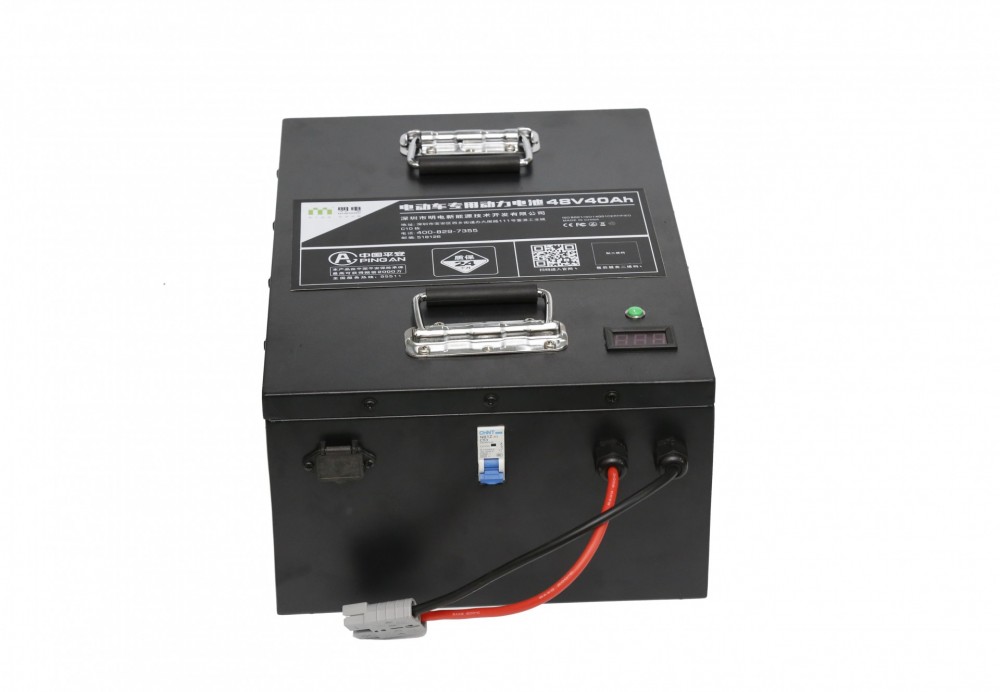 Electric Three Wheel Car Battery 48V40Ah