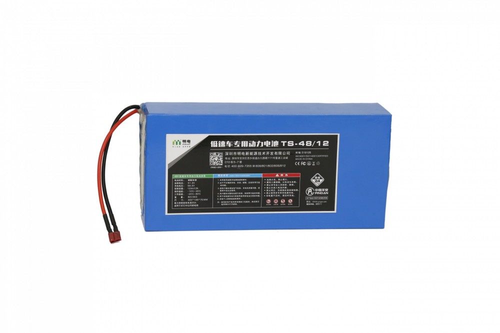 E-Bike Battery 48V12Ah